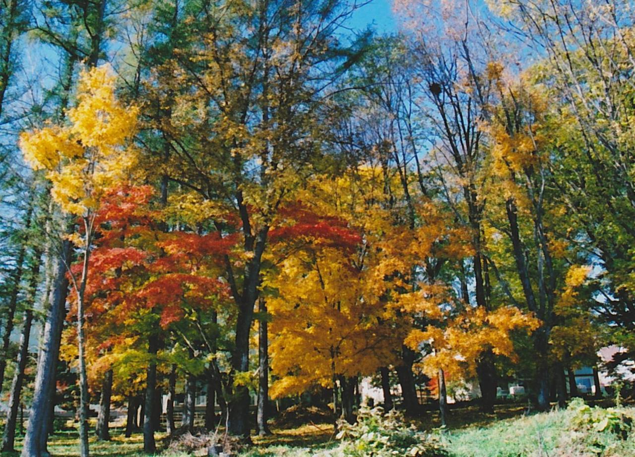 Cottage Morino Nakamatachi NakaNakafurano Exterior foto